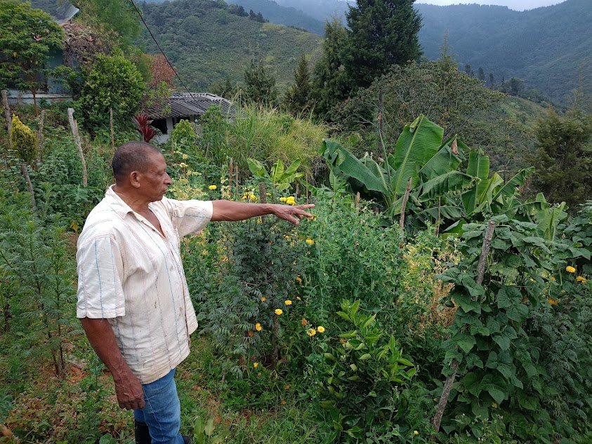 Campesinos comuna 13 Exclusivo Colombia